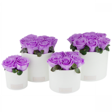 WHITE CERAMIC POT WITH BABY LILLY ROSES AND EUCALYPTUS