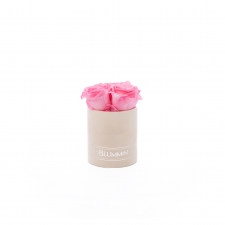 XS BLUMMiN - nude sametkarp BABY PINK roosidega
