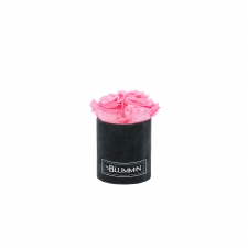 XS BLUMMiN - BLACK VELVET BOX WITH BABY PINK ROSES