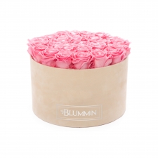 Extra LARGE BLUMMIN NUDE VELVET BOX WITH BABY PINK ROSES