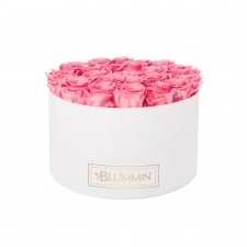  EXTRA LARGE WHITE BOX WITH BABY PINK ROSES