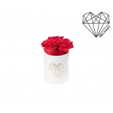 XS LOVE - WHITE VELVET BOX WITH VIBRANT RED ROSES