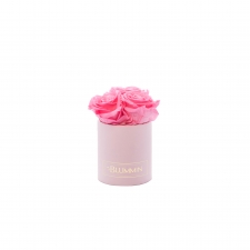 XS BLUMMiN - heleroosa karp BABY PINK roosidega