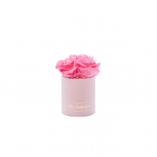 XS BLUMMiN - light pink box with BABY PINK roses