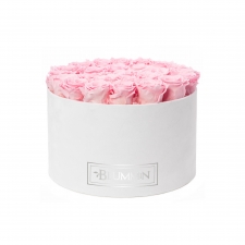 EXTRA LARGE BLUMMIN WHITE VELVET BOX WITH BRIDAL PINK ROSES