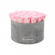 XL BLUMMiN - VELVET LIGHT GREY BOX WITH BRIDAL PINK ROSES