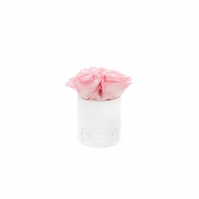 XS BLUMMiN - valge sametkarp BRIDAL PINK roosidega
