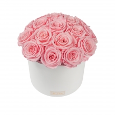 BOUQUET WITH 17 ROSES - WHITE CERAMIC POT WITH BRIDAL PINK ROSES