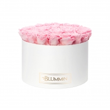XL BLUMMiN - WHITE BOX WITH BRIDAL PINK ROSES