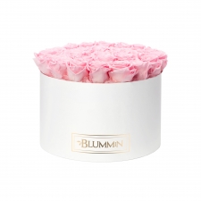 EXTRA LARGE BLUMMiN - valge karp BRIDAL PINK roosidega
