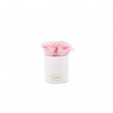 XS BLUMMiN - WHITE BOX WITH BRIDAL PINK ROSES