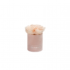 XS BLUMMiN - LIGHT PINK VELVET BOX WITH ICE PINK ROSES