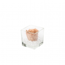 GLASS VASE WITH CAPPUCCINO ROSE AND CRYSTALS
