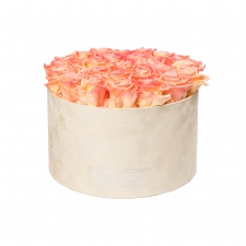 EXTRA LARGE NUDE VELVET BOX WITH APRICOT ROSES