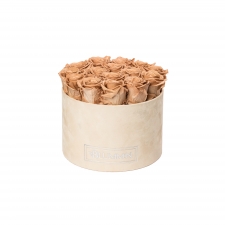 -20% LARGE NUDE VELVET BOX WITH CAPPUCCINO ROSES