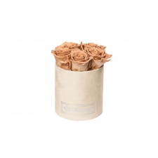 -20% MIDI NUDE VELVET BOX WITH CAPPUCCINO ROSES