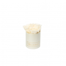 XS BLUMMIN CREAMY BOX WITH CHAMPAGNE ROSES