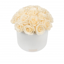 BOUQUET WITH 17 ROSES - WHITE CERAMIC POT WITH CHAMPAGNE ROSES