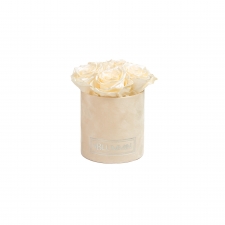 MIDI BLUMMiN -  NUDE VELVET BOX WITH CHAMPAGNE ROSES