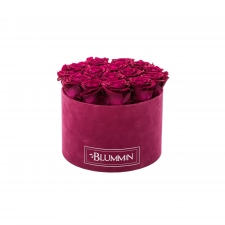 LARGE BLUMMiN FUKSIA SAMETKARP CHERRY KAUASÄILIVATE ROOSIDEGA