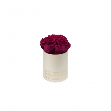 XS BLUMMIN - CREAMY BOX WITH ROSEBERRY ROSES