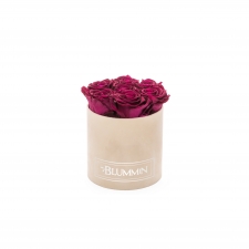 SMALL VELVET NUDE BOX WITH CHERRY ROSES