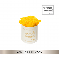 -20% ARMSALE VANAEMALE- MIDI KREEMIKASVALGE KARP (VALI ROOSI VÄRV)