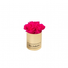 XS GOLDEN BOX WITH HOT PINK ROSES