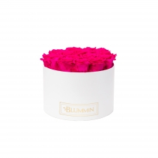 LARGE BLUMMIN - WHITE BOX WITH HOT PINK ROSES
