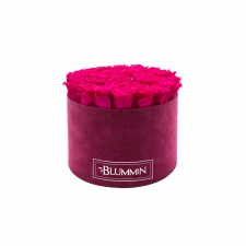 LARGE BLUMMIN FUCHSIA VELVET BOX WITH HOT PINK ROSES