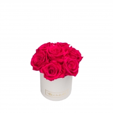 BUKETT 7 ROOSIGA - MIDI VALGE USSINAHKSE IMITATSIOONIGA KARP HOT PINK ROOSIDEGA