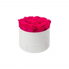 LARGE BLUMMIN- VALGE SAMETKARP HOT PINK KAUASÄILIVATE ROOSIDEGA