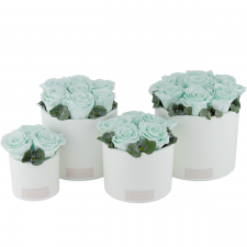 WHITE CERAMIC POT WITH MINT ROSES AND EUCALYPTUS