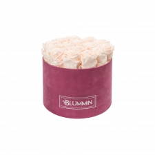 LARGE BLUMMiN - LIGHT PURPLE VELVET BOX WITH ICE PINK ROSES