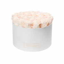 XL BLUMMiN - WHITE BOX WITH ICE PINK ROSES
