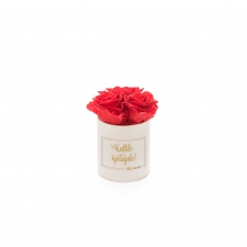 KALLILE ÕPETAJALE - XS BLUMMIN CREAMY BOX WITH VIBRANT RED ROSES