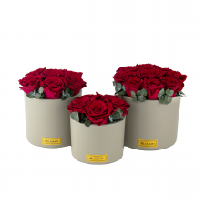 BEIGE CERAMIC POT WITH CHERRY ROSES AND EUCALYPTUS