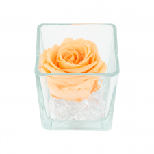 GLASS VASE WITH PEACH ROSE AND CRYSTALS (10x10 cm)