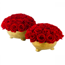 GOLDEN CERAMIC POT WITH VIBRANT RED ROSES