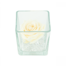 GLASS VASE WITH CHAMPAGNE ROSE AND CRYSTALS (10x10 cm)