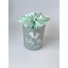 BABY BOY - XS LIGHT GREY BOX WITH MINT ROSES