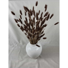 СУХОЦВЕТЫ - LAGURUS DARK BROWN (EHK JÄNESESABA)