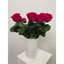-40% VARREGA ROOSID - HOT PINK