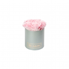 MIDI BLUMMIN - LIGHT GREY BOX WITH VINTAGE PINK ROSES