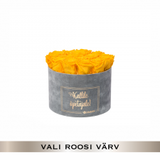 -20% KALLILE ÕPETAJALE - LARGE HELEHALL SAMETKARP (VALI ROOSI VÄRV)
