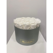 LARGE CLASSIC LIGHT GREY BOX WITH WHITE ROSES
