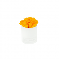 XS BLUMMIN GREEN VELVET BOX WITH YELLOW ROSES