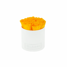 SMALL BLUMMiN GREEN VELVET BOX WITH YELLOW ROSES