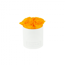 MIDI BLUMMIN GREEN VELVET BOX WITH YELLOW ROSES