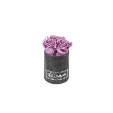  XS BLUMMiN - TUMEHALL SAMETKARP LILAC ROOSIDEGA